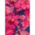 Kalendarz dzienny Oxford A5 2025 Flowers mix