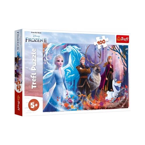 Puzzle TREFL 100 Kraina Lodu 16366