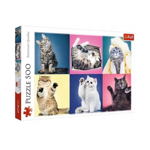 Puzzle TREFL 500 Kociaki